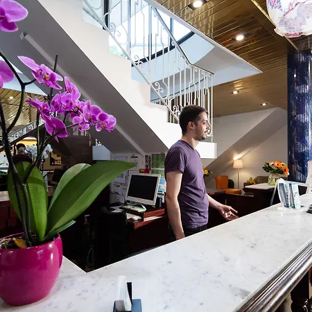 Helianthe Otel Lourdes